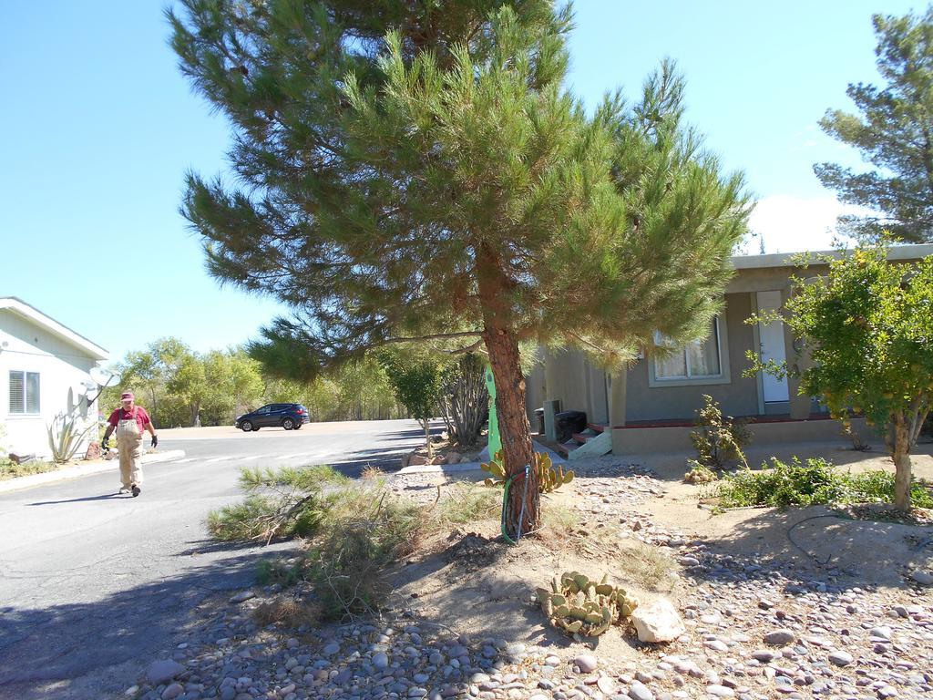 Atomic Inn Beatty Near Death Valley Экстерьер фото